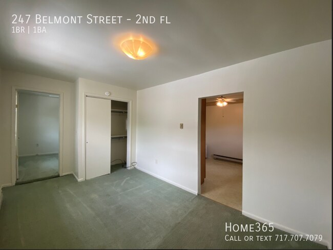 Building Photo - 247 Belmont St Unit 2, Carbondale