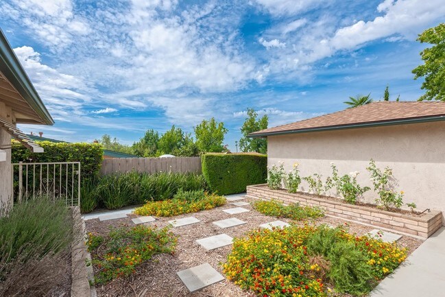 Middle yard - facing southwest - 1360 Tropical Ave