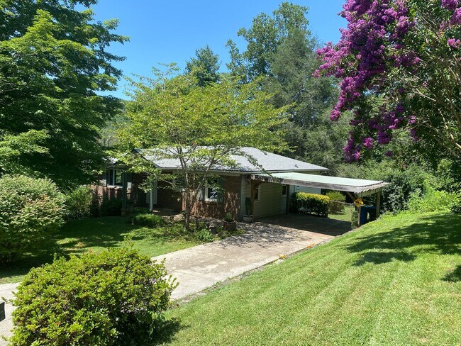 Foto del edificio - North AVL - Spacious Home with Large Yard and Outdoor Fireplace!