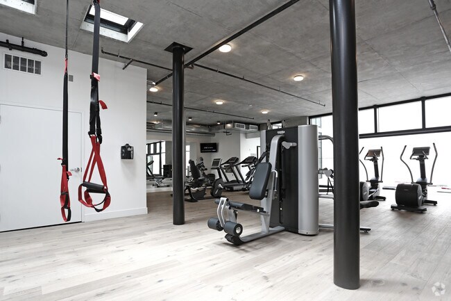 Gimnasio - Alchemy