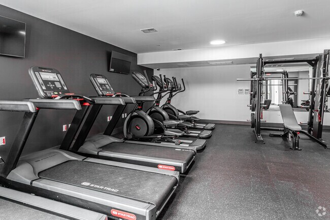 Gimnasio - The HIGHLAND