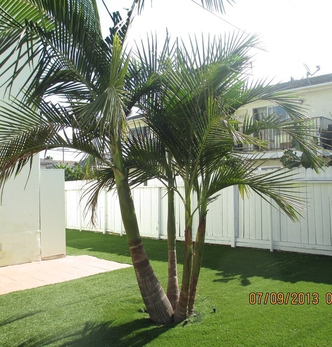 Side Yard - 826 E 10th St