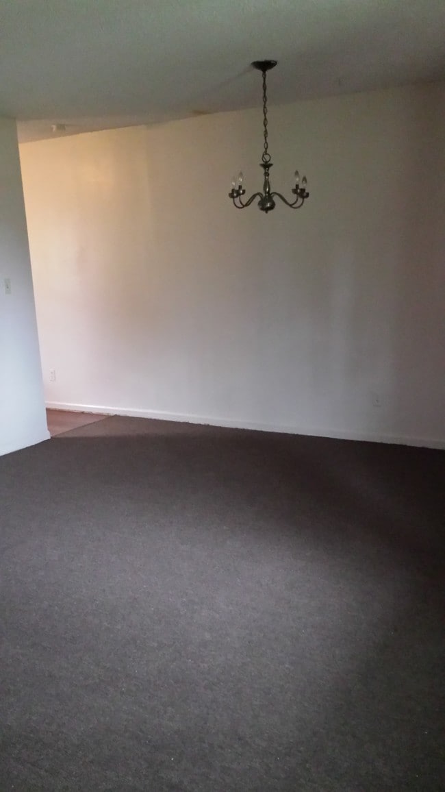 Living Room - 1013 Davidson Dr