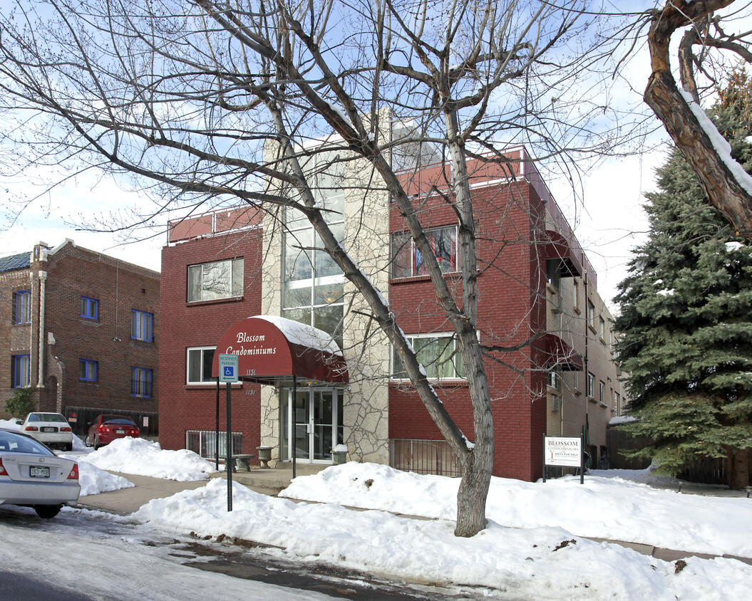 Building Photo - Blossom Apartments