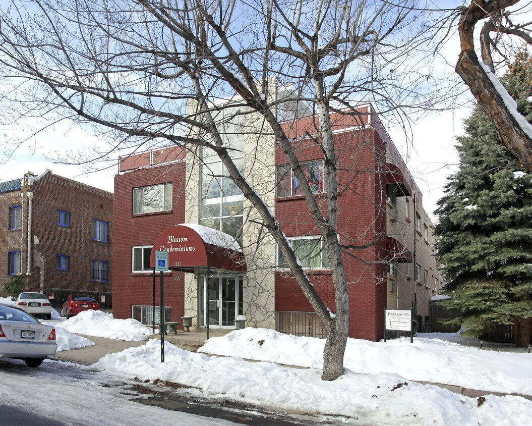 Foto del edificio - Blossom Apartments