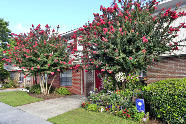 Complejo - Townhouse Village