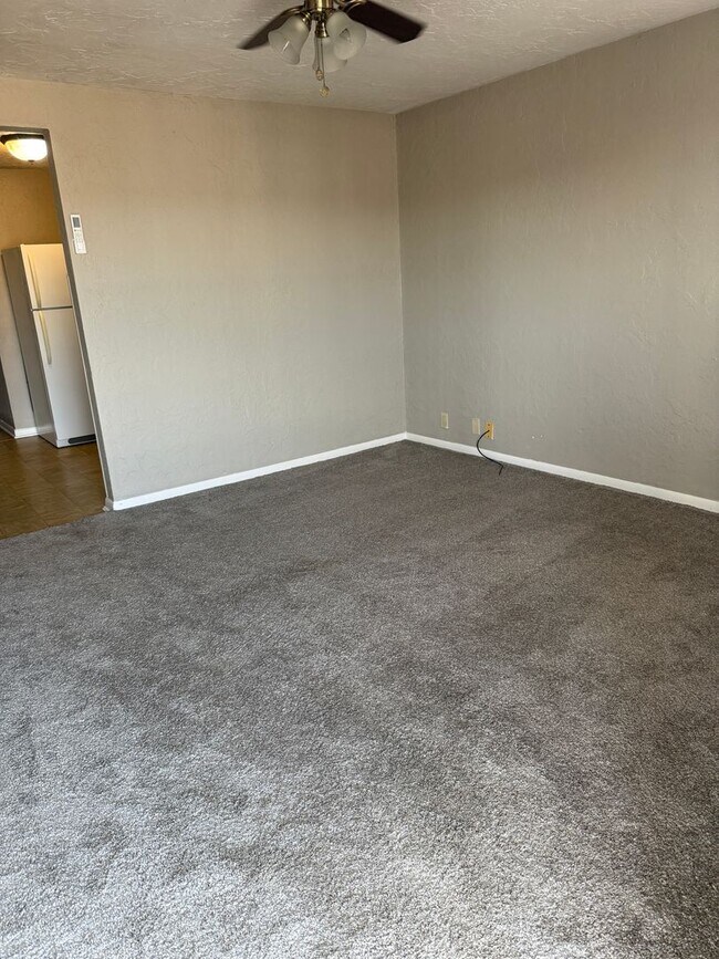 Foto del edificio - Clean & Updated 1 bedroom  just 1/2 block from SWOSU
