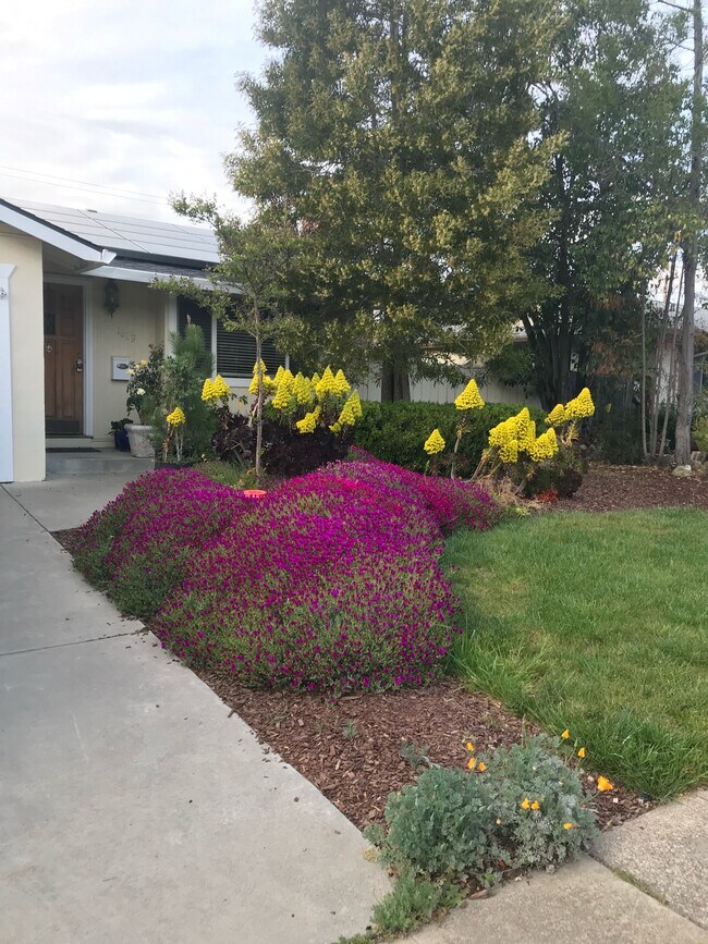 Front Entrance Flowers - 1629 Almond Blossom Ln