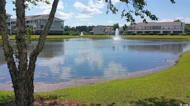 Foto del edificio - Roommate wanted 3 Bedroom 3 Bath $900 month!!!