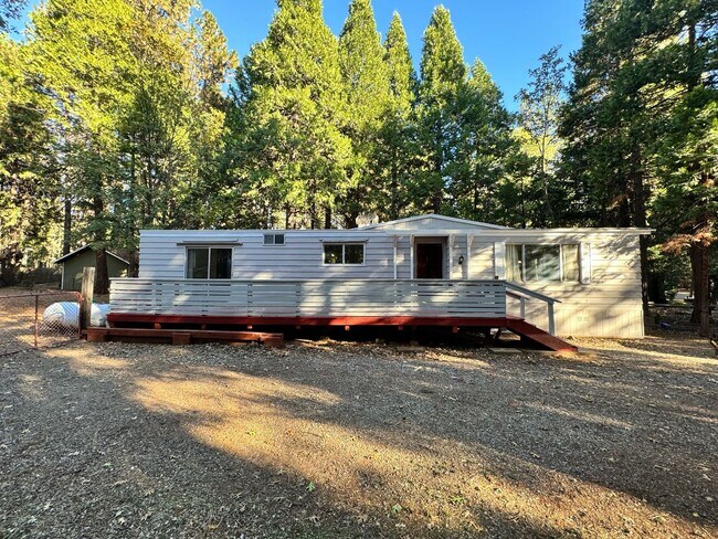Building Photo - Cozy Mountain Rental!