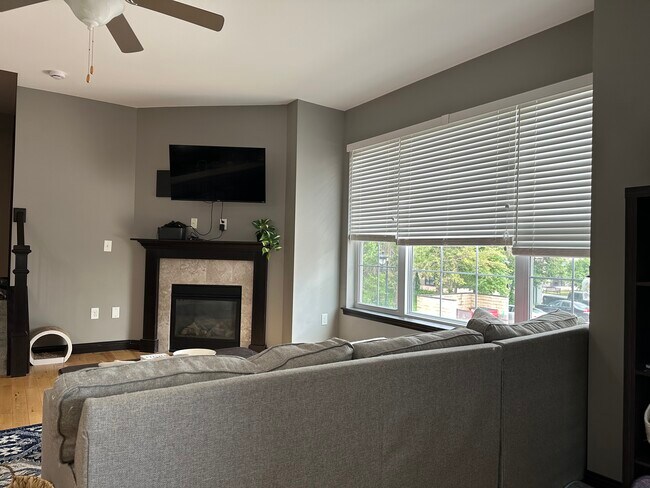 Chimenea de gas - 440 3rd Ave