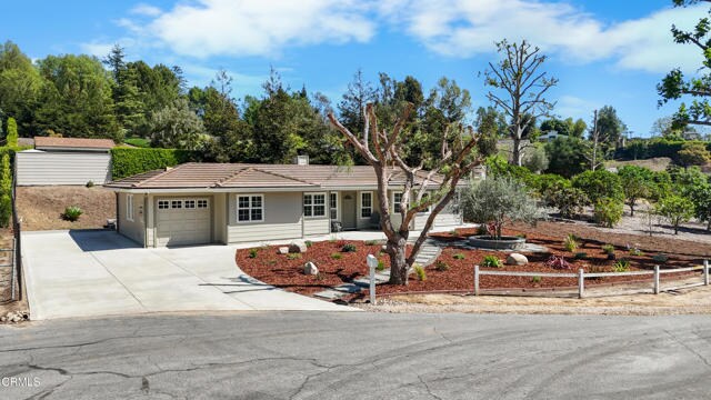 Building Photo - 239 Ramona Pl