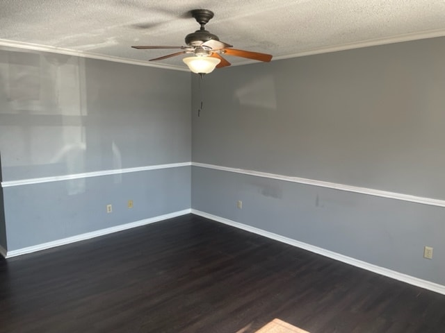 large living room - 335 W 12th St