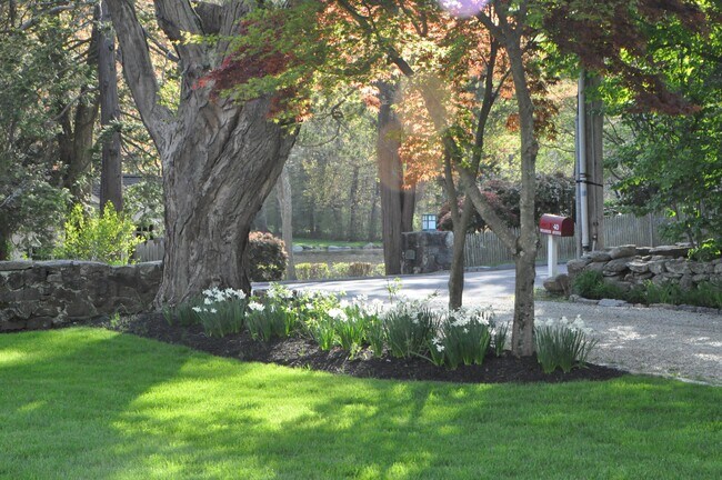 Foto del edificio - 38B Woodside Ave
