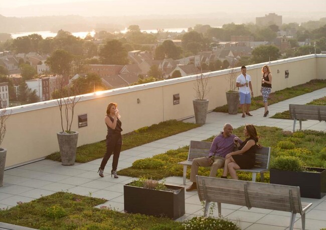 El jardín de la azotea es un oasis urbano - The 1500 Condominium