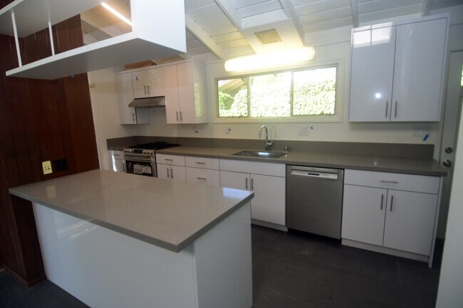Cocina recientemente remodelada - 1064 Las Pulgas Rd
