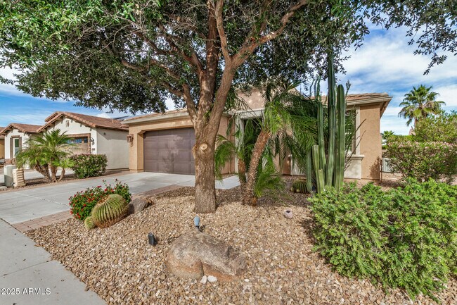 Foto del edificio - 856 E Harmony Wy