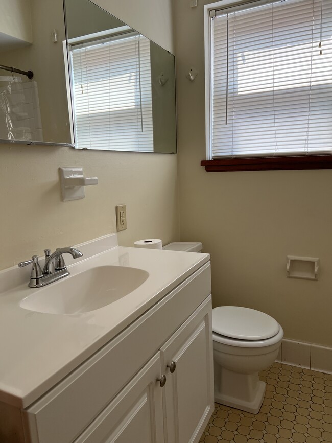 Updated bathroom sink - 3006 Poplar Level Rd