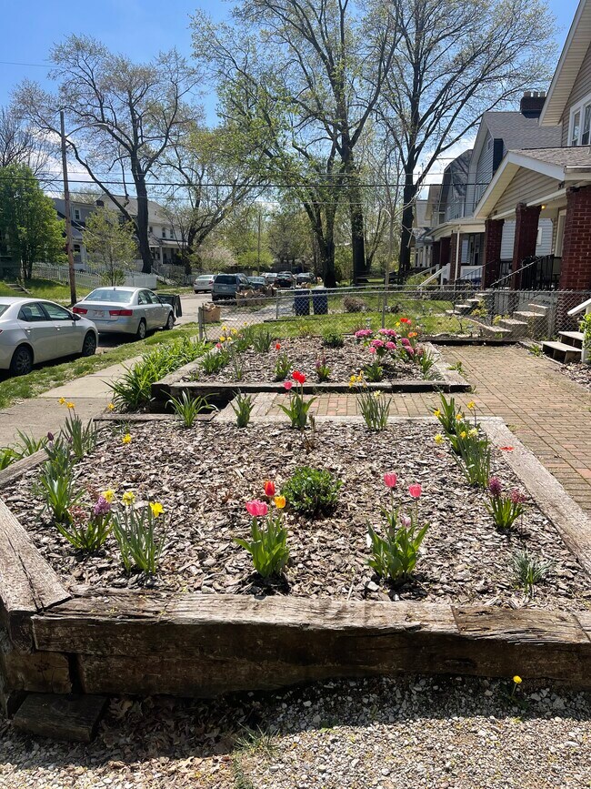 Jardín de primavera - 2439 Medary Ave