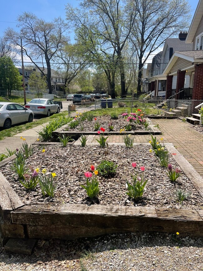 Spring Garden - 2439 Medary Ave