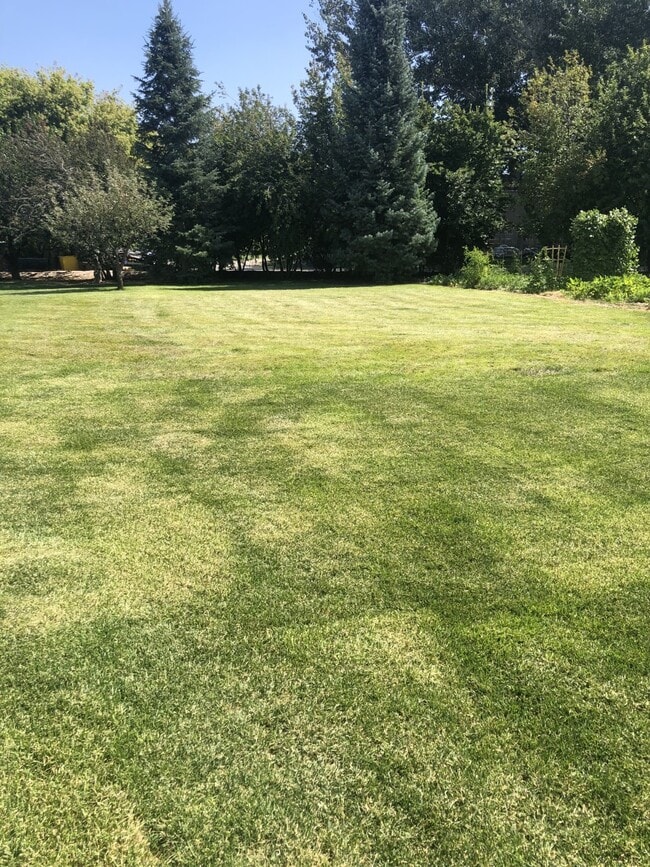 Common yard - 2050 E 113 S