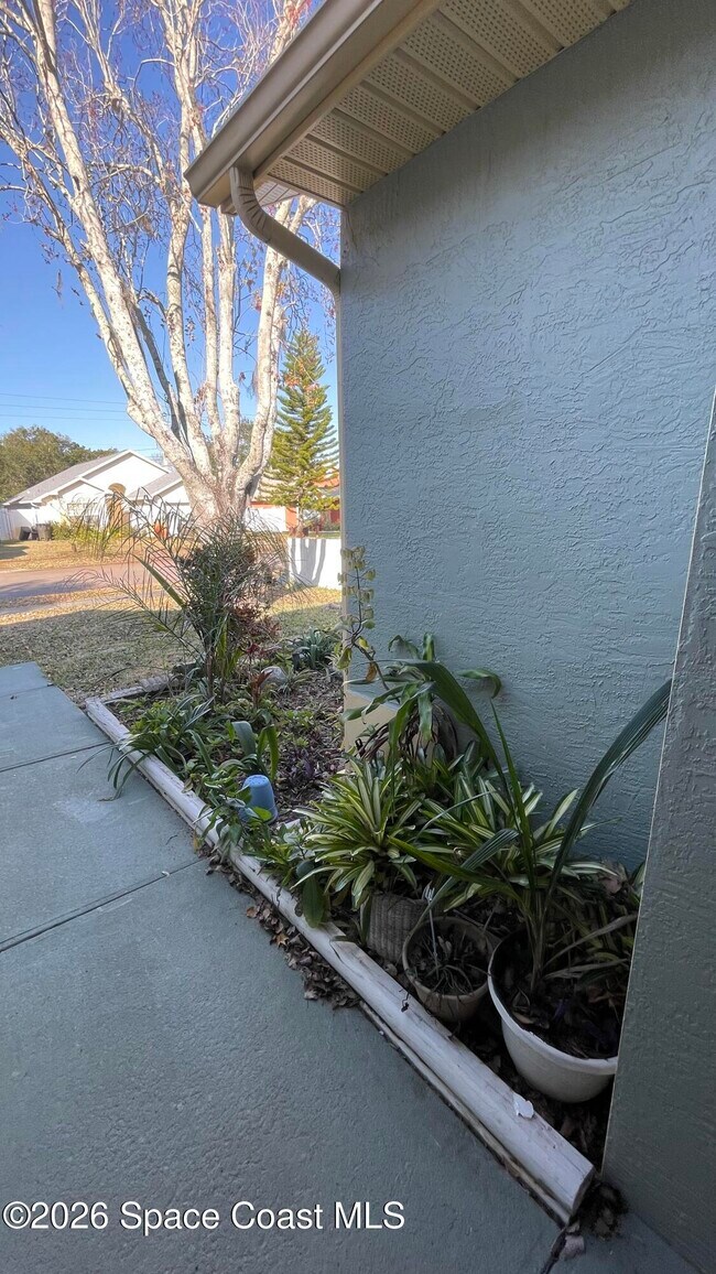 Foto del edificio - 2555 Street Pauls Dr