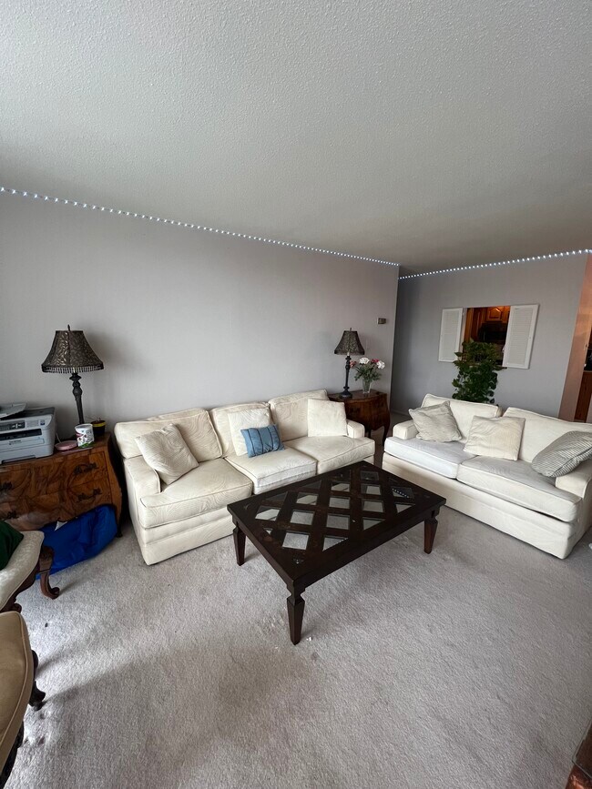 Living room - 100 West Ave