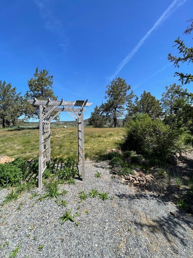 Building Photo - Rural living at its finest!  Large 3bdrm 2...