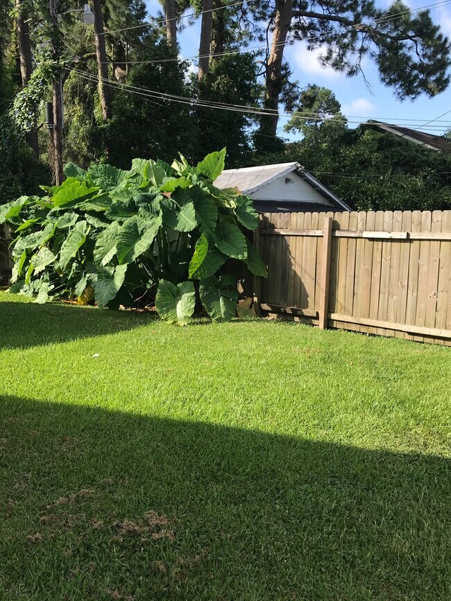 Foto del edificio - 806 E University Ave