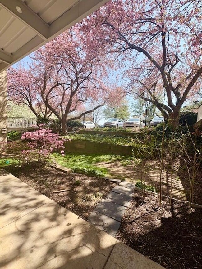 Building Photo - Remodeled 2 BR 1BA in Bethesda. Private front patio. Most utilities included.