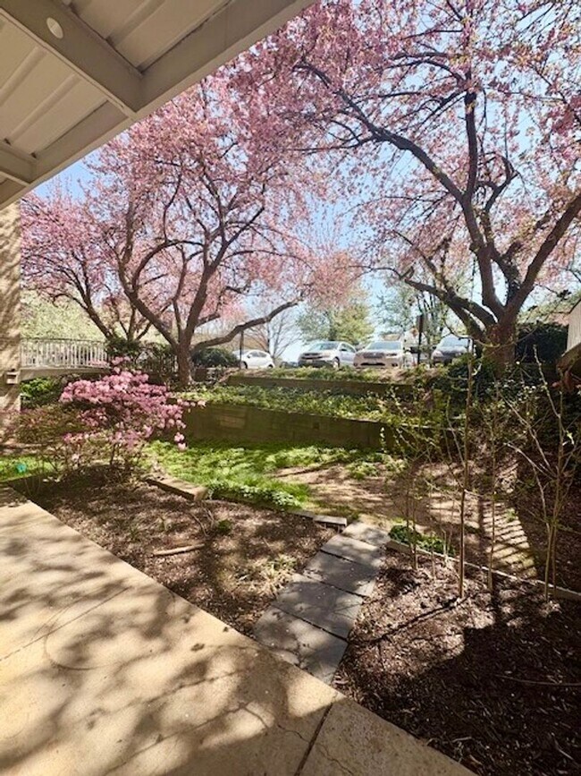 Foto del edificio - Remodeled 2 BR 1BA in Bethesda. Private front patio. Most utilities included.