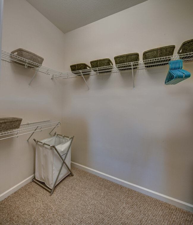 Building Photo - The Province