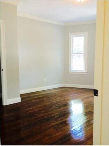 Foto del edificio - 45 Beech Glen St