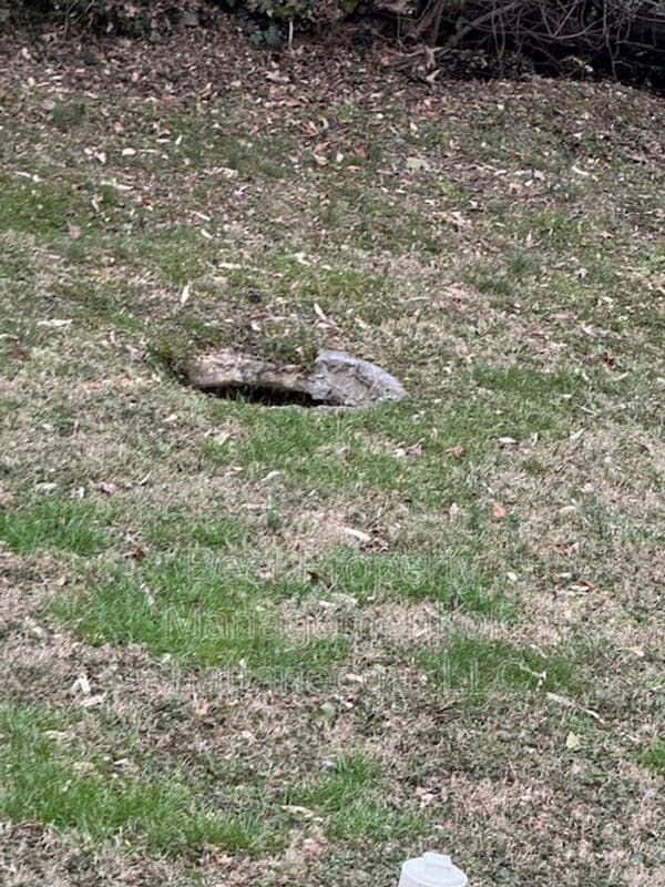 Foto del edificio - 223 Vreeland St