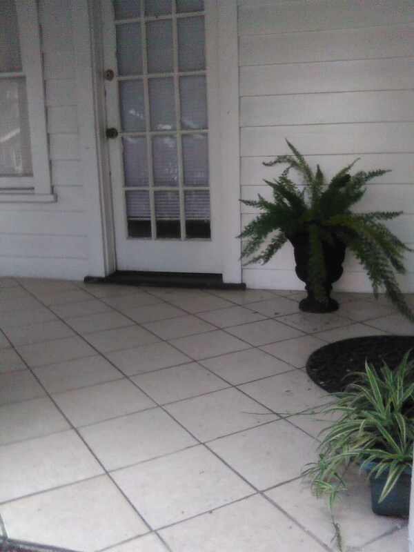 801 E Frierson Ave, Tampa, FL 33603 House Rental in Tampa, FL