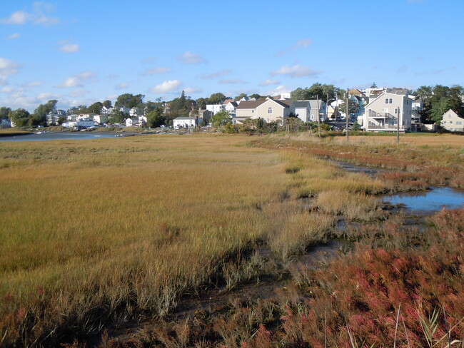 house in center as seen from marsh walking trail at low tide - 103 Summer St