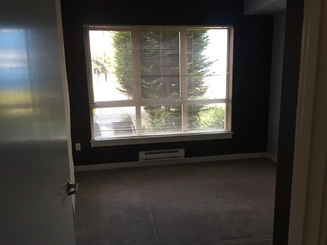 Large bedroom can fit a queen bed and night stands comfortably - 1410 E Pine St