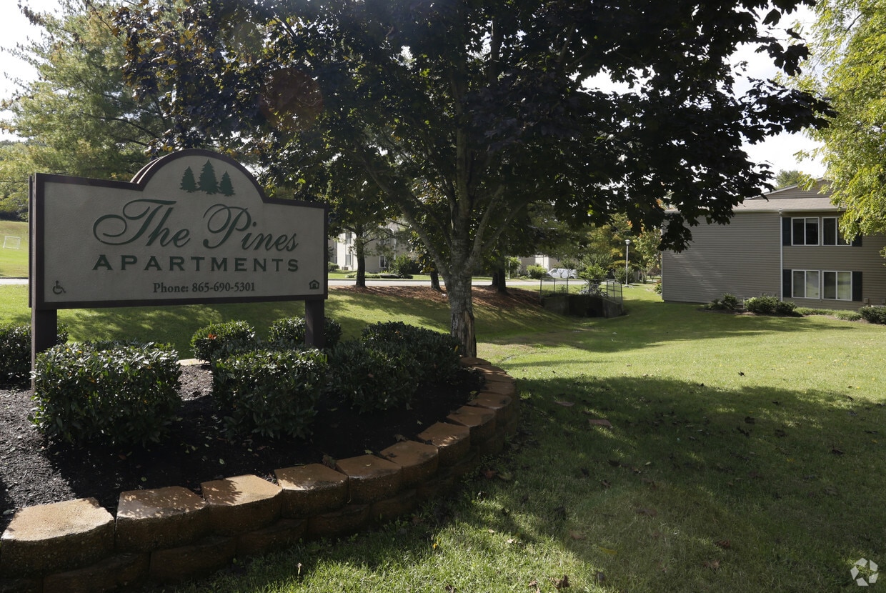 Primary Photo - The Pines Apartments