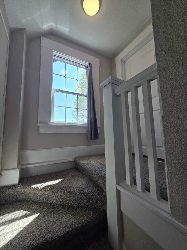 Let the sunshine in! - 1536 N Robberson Ave