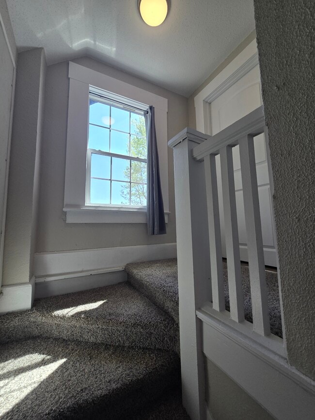 Let the sunshine in! - 1536 N Robberson Ave