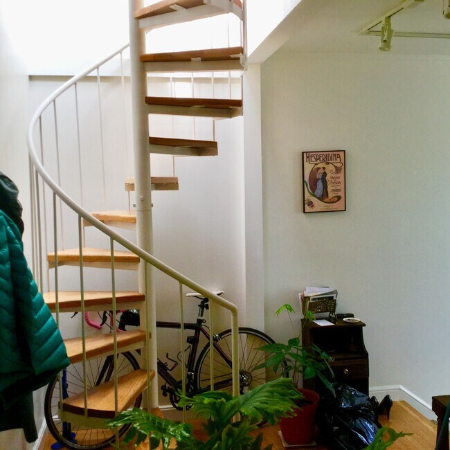 Interior spiral Staircase up to 4th Floor roof deck - 2205 Steiner St