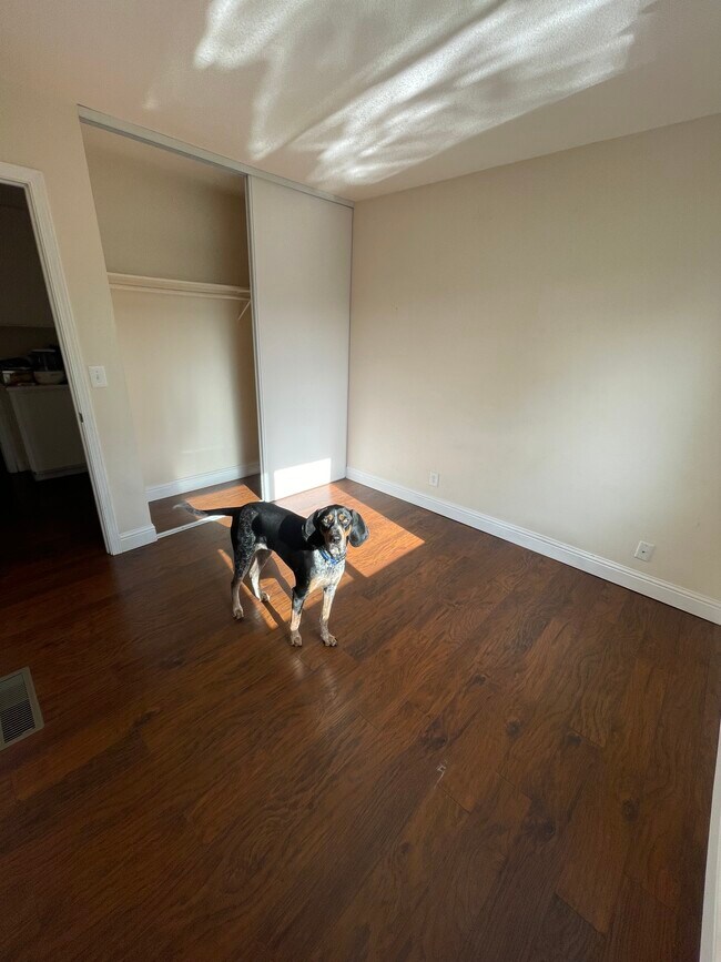 Foto del edificio - 4412 Pitch Pine Ct