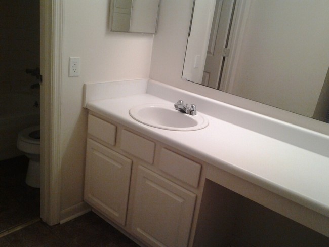 1BR Bathroom - Summer Wind Apartments