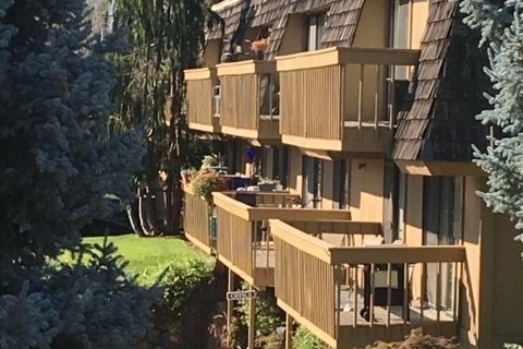 Building Photo - Pacific Village Apartments