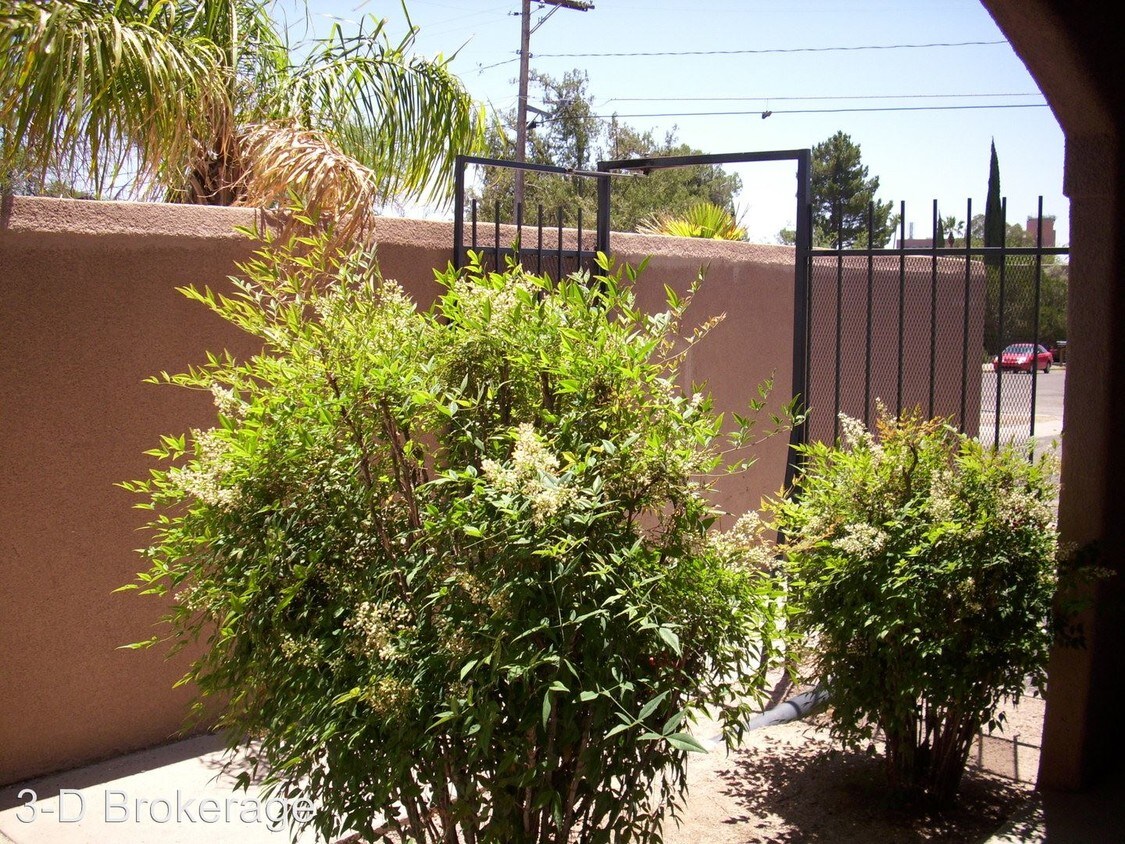 Building Photo - 1545-1591 N Santa Rita Ave