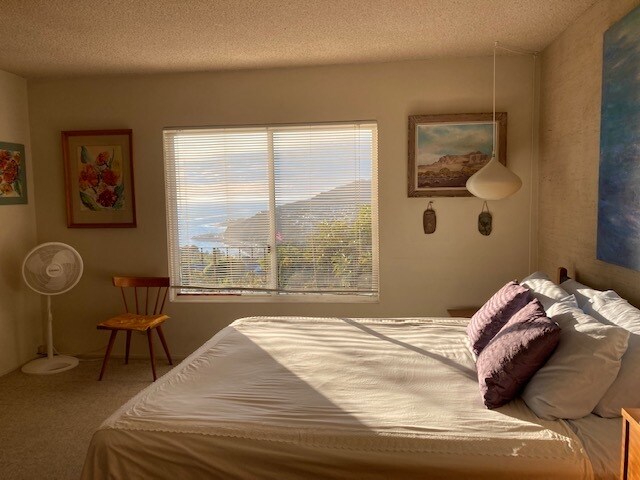 Master Bedroom - 237 Notteargenta Rd