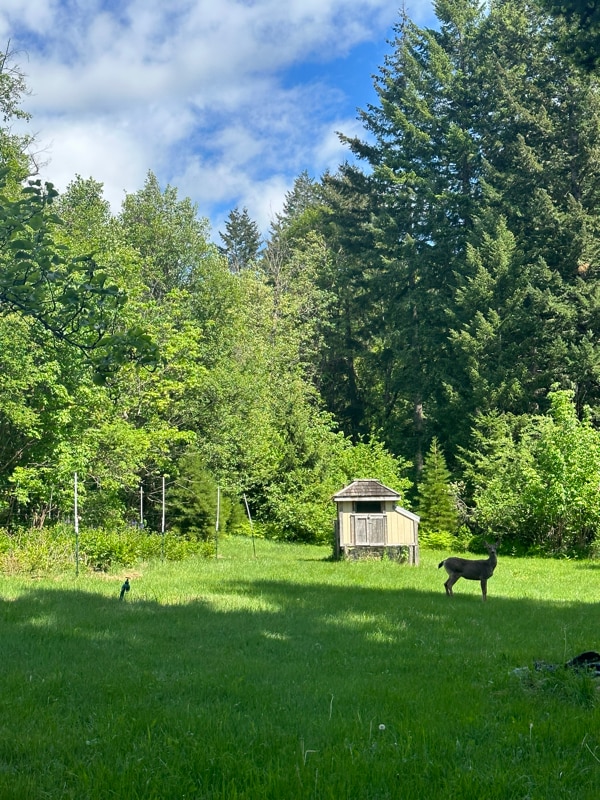 Foto del edificio - 1002 Jessup Rd