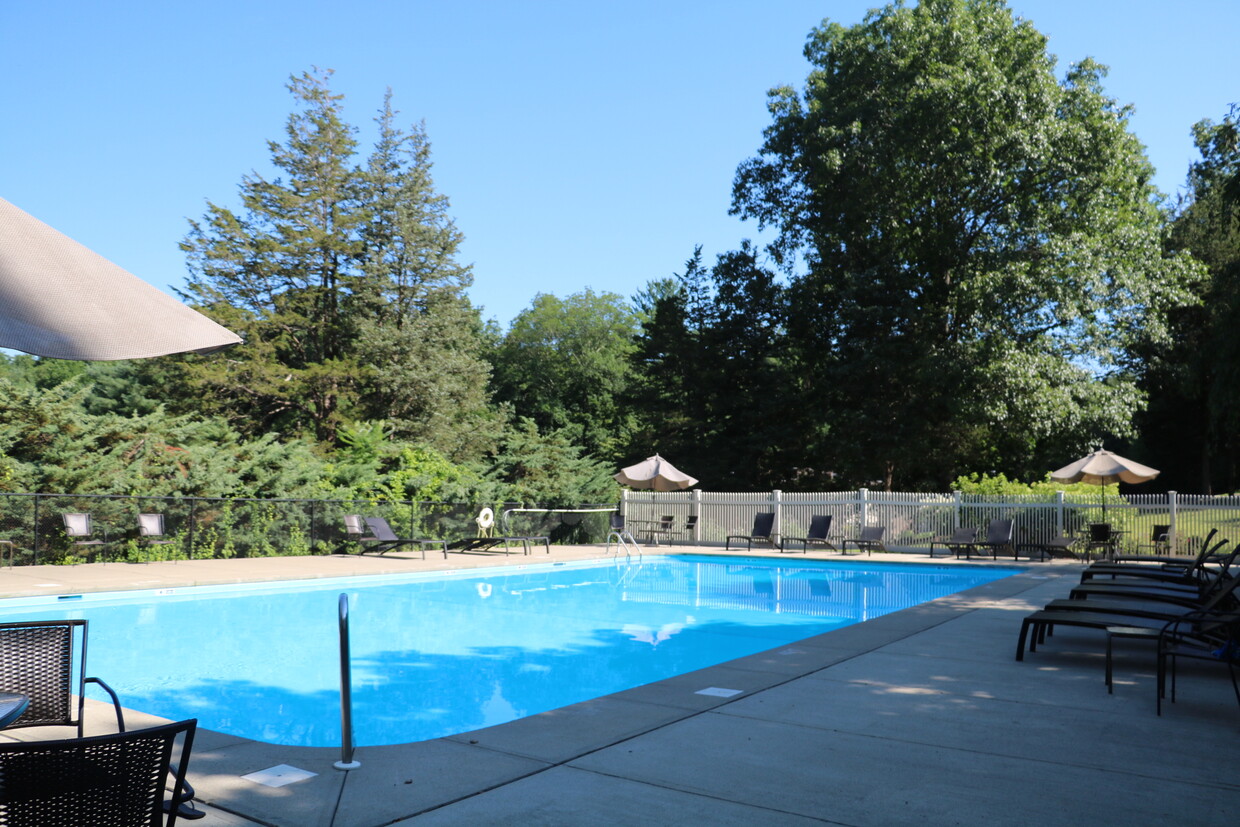 Amazing pool - 229 Bacon Pond Rd