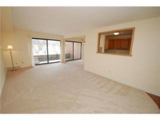 Living room - 2132 Pauline Blvd