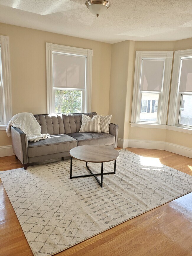 Living Room - 60 Essex St